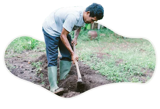 prinsip kebun