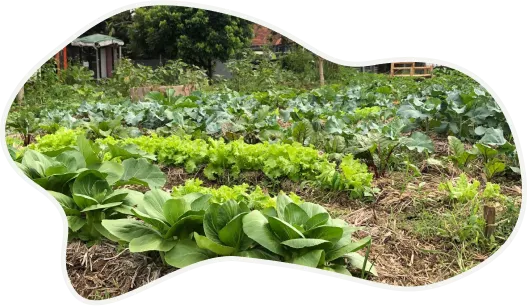 prinsip kebun