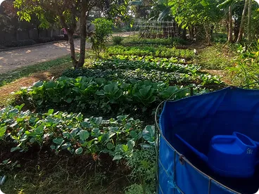 Dokumentasi