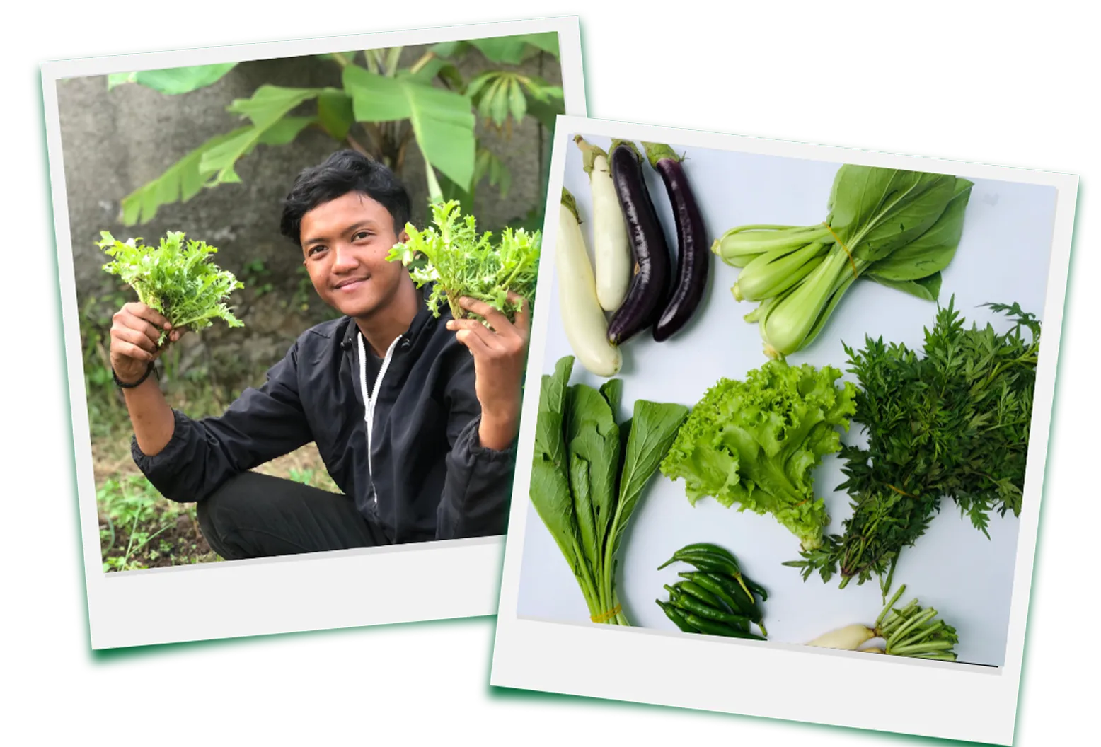 Apa yang didapatkan 1 (2)